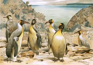 Giant Penguins — Friedrich Wilhelm Kuhnert