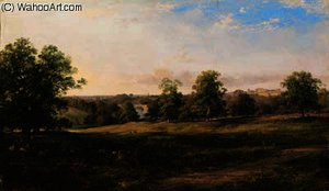 View of the park at blenheim from the south-west