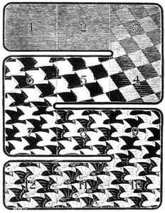 Mouch — Maurits Cornelis Escher