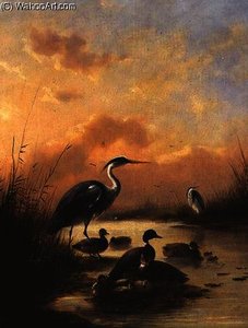 A family of Mallard and two Herons