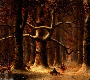 Gathering wood in the forest