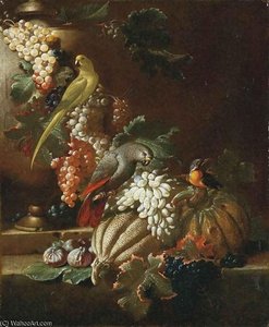 Tralci Di Vite Con Frutta E Pappagalli