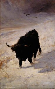 Black Beast Wanderer — Joseph Denovan Adam