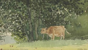 Cow In Pasture — Winslow Homer