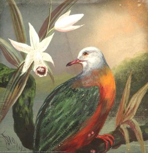 Exotic Bird on Branch and Flowers