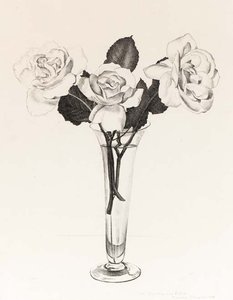 Roses — Charles Rettew Sheeler Junior