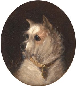 A Terrier — Džordž Armfild (smit)