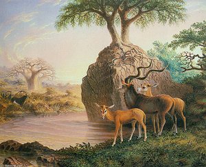 Koodos, Luisi River, Zambesi Valley — Thomas Baines