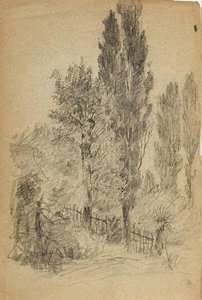 Poplar Trees 1 — John Ottis Adams