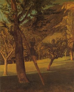 Cherry — Balthus
