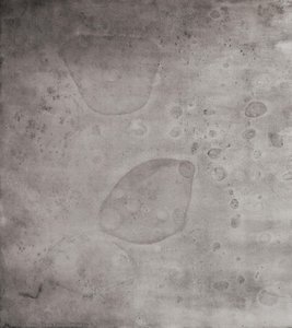 Embryos 3 — Paula Klien