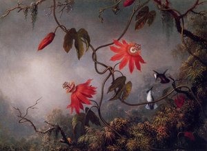 Passion Flowers And Hummingbirds — Martin Johnson Heade, Luminist Landscape