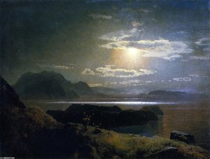 Elk in the Moonlight