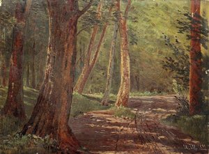 Forest Road — Ivan Ivanovich Shishkin, Realism