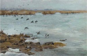 Mallard Flying In — George Edward Lodge