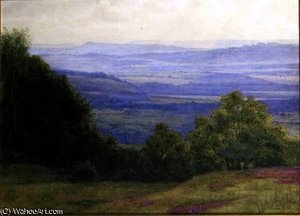 From Kings Ley Green near Haslemere