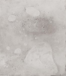 Embryos 4 — Paula Klien