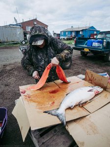 A Woman Preparing Smoked Salmon — Angelo Chiacchio