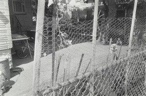 Belle, Gerrittsen Beach, Brooklyn — Thomas Roma