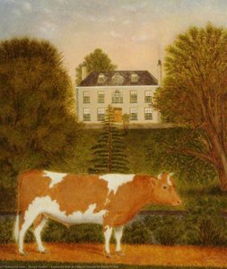 Guernsey Bull in front of Manoir de Pierre Percee