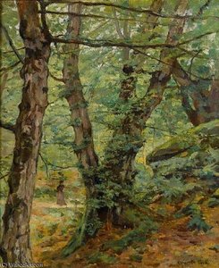 Walking In A Forest