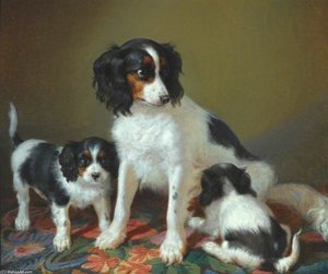 A Spaniel With Two Puppies