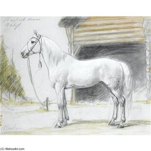 A Portrait Of A Horse — Otto Eerelman
