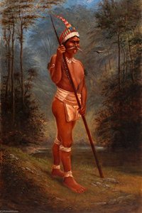 Zaparo Stock — Antonion Zeno Shindler