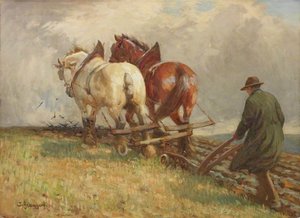 Ploughing