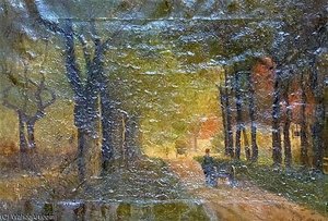 Woodland Scene