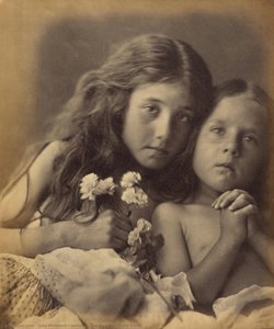 The Red and White Roses