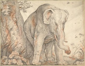 An Elephant Rubbing Itself against a Tree, c. 1608-1612