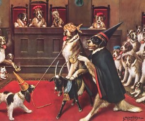 Riding The Goat — Cassius Marcellus Coolidge