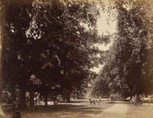 Main Street North From Eraus Cottage, From The Album Views Of Charlestown, New Hampshire — Gotthelf Pach