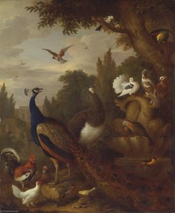 Peacock, Peahen, Parrots, Canary, And Other Birds In A Park — Jakob Bogdani