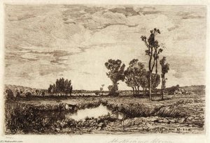 Cattle in a Pond