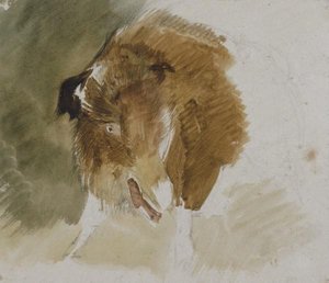 A Wild Boar — Džon Frederik Luis
