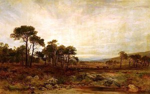 Glen Dee Deer Forest — James Docharty