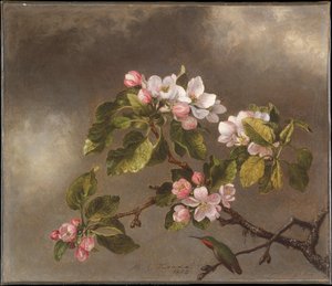 Hummingbird And Apple Blossoms — Martin Johnson Heade, Luminism
