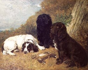 A Mid-day Rest