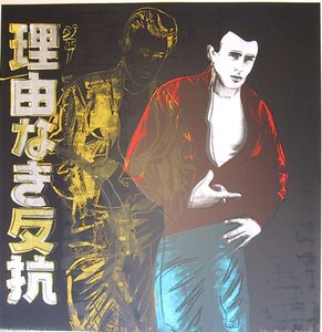 Rebel Without A Cause — Endi Varhol