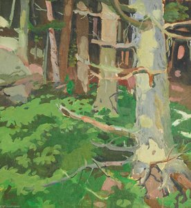 Woods and Rocks