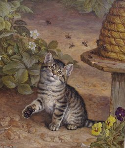 Untiteled — Frank Paton