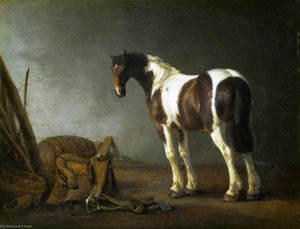 A Horse with a Saddle Beside it