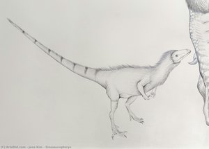 Sinosauropteryx — Jane Kim