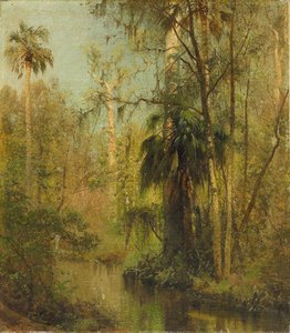 Edge Of The Everglades — Herman Herzog