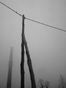 A Pier — Alfred Freddy Krupa