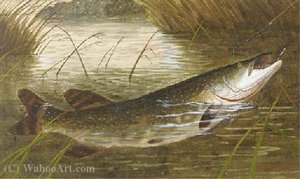Hooking A Pike — A. Roland Knight