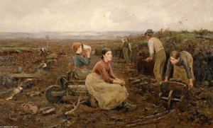 A Galloway Peat Moss — William Stewart Macgeorge