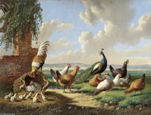 Fowl In A Landscape — Albertus Verhoesen